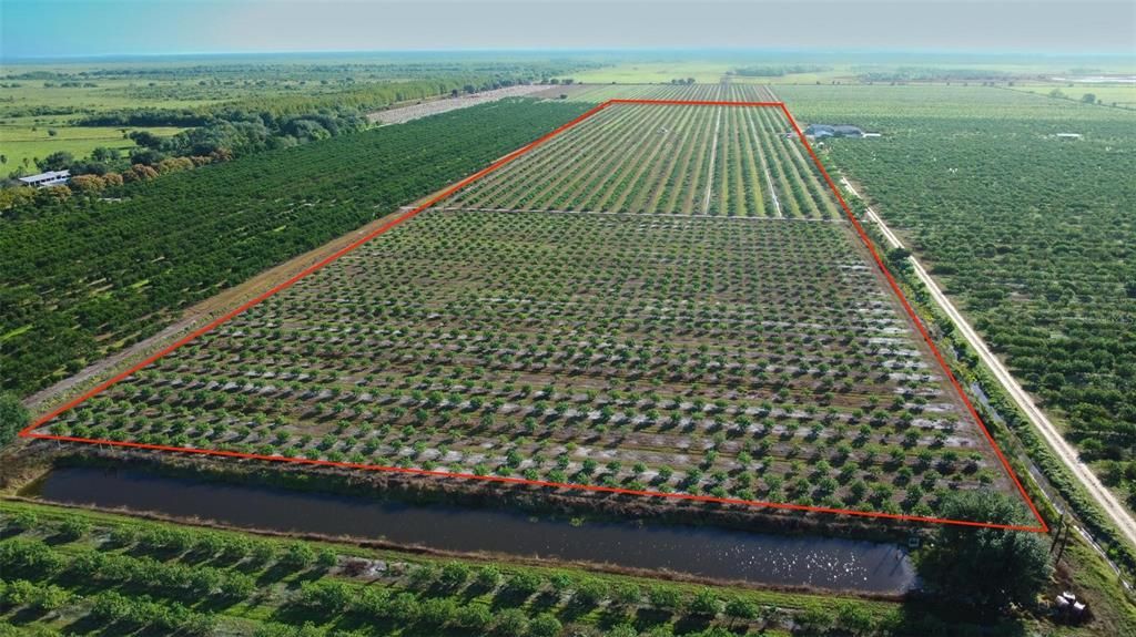 En Venta: $798,960 (40.00 acres)