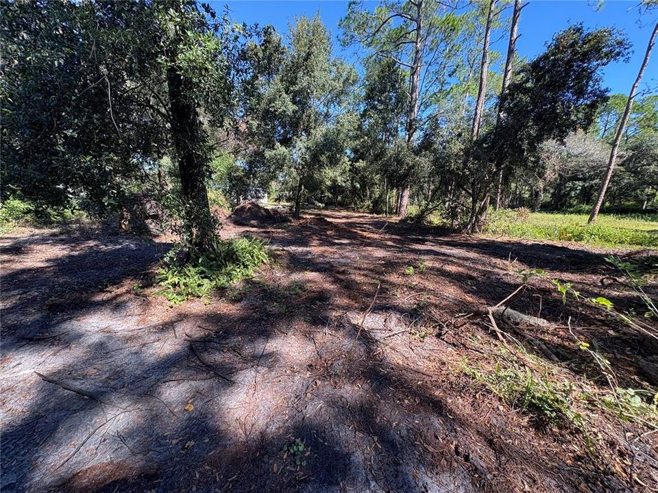 待售: $219,900 (3 贝兹, 2 浴室, 924 平方英尺)