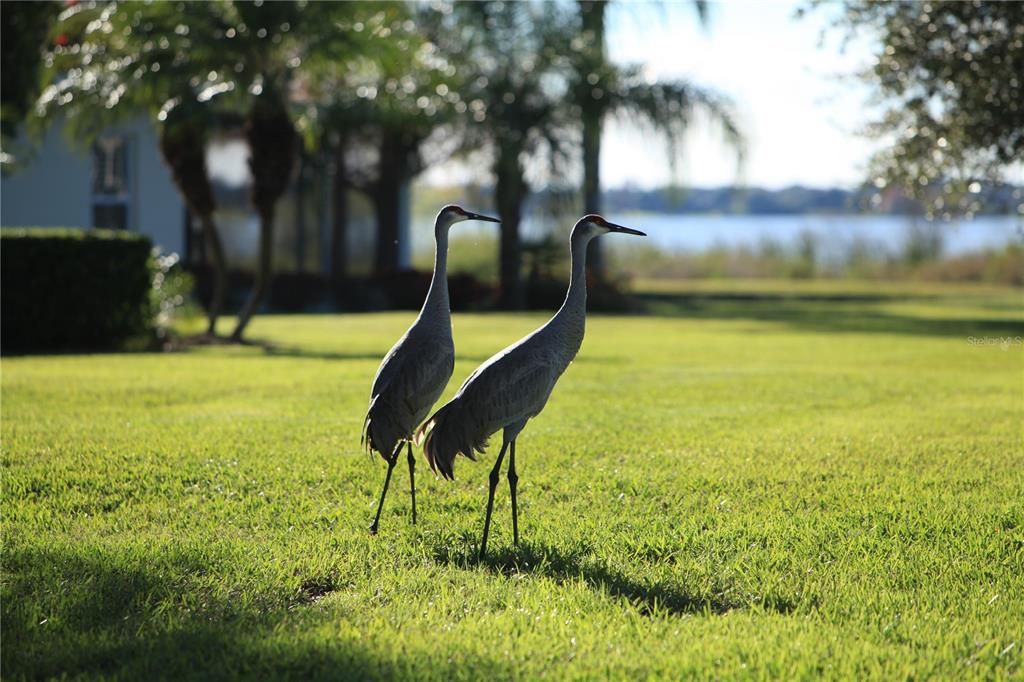 待售: $235,000 (2 贝兹, 2 浴室, 1078 平方英尺)