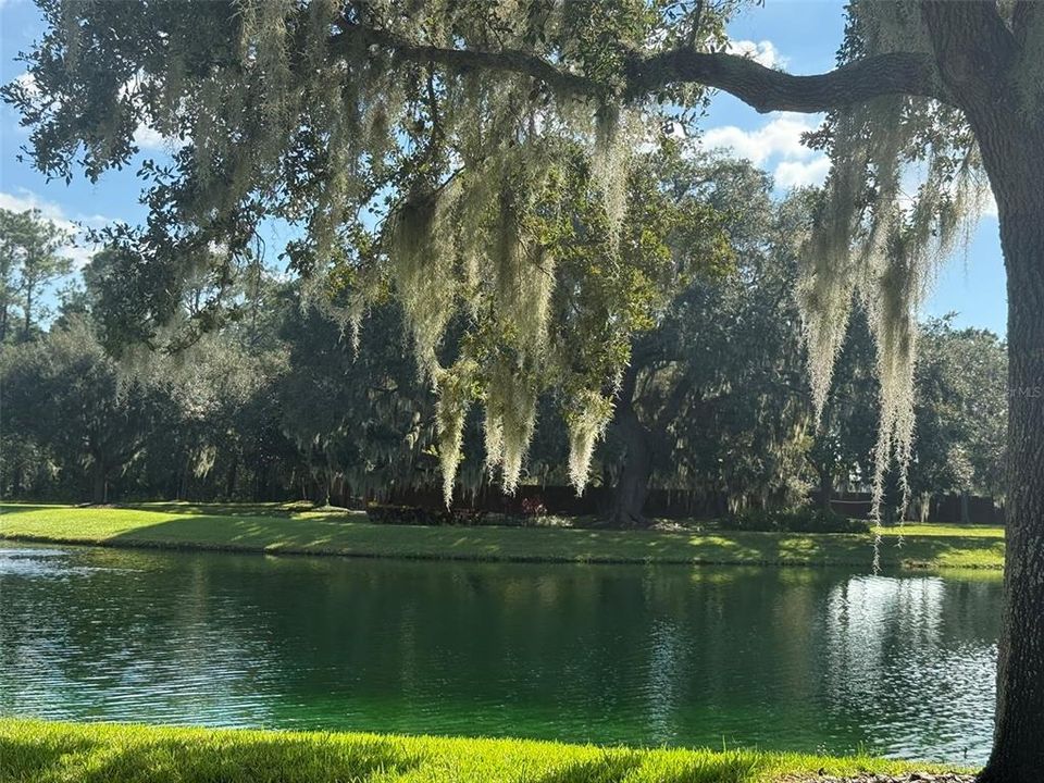 For Sale: $1,099,000 (5 beds, 4 baths, 3589 Square Feet)