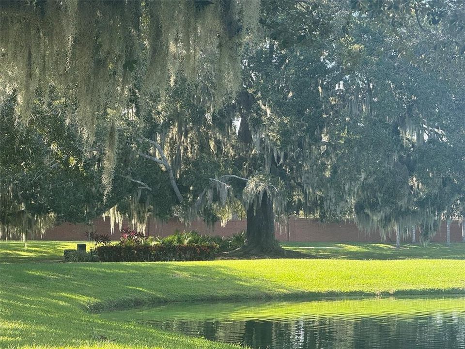 For Sale: $1,099,000 (5 beds, 4 baths, 3589 Square Feet)