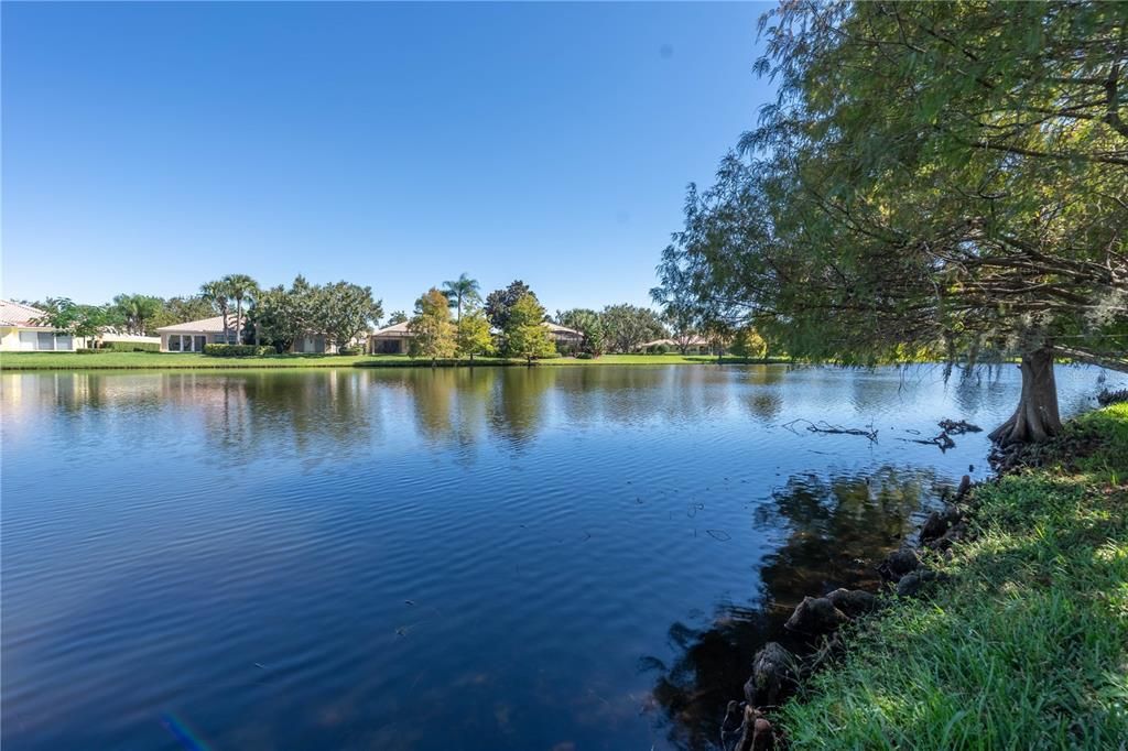 待售: $685,000 (3 贝兹, 2 浴室, 2005 平方英尺)