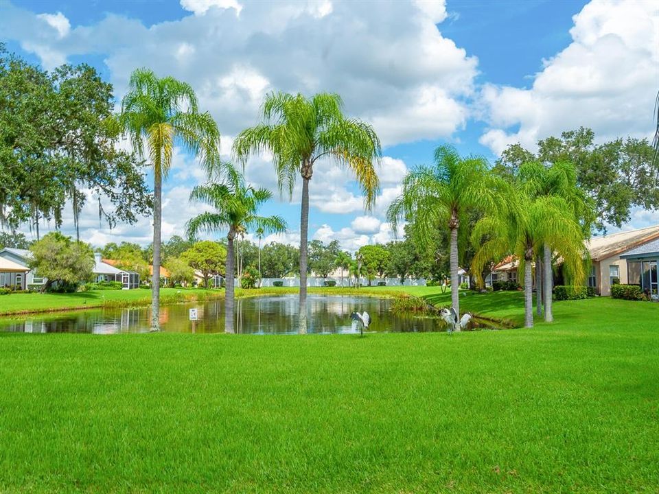 合同活跃: $319,000 (2 贝兹, 2 浴室, 1519 平方英尺)