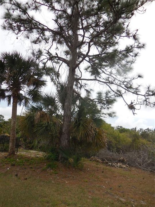 For Sale: $35,000 (0.17 acres)