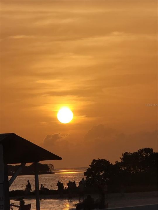 Под контрактом: $1,200 (2 спален, 1 ванн, 800 Квадратных фут)