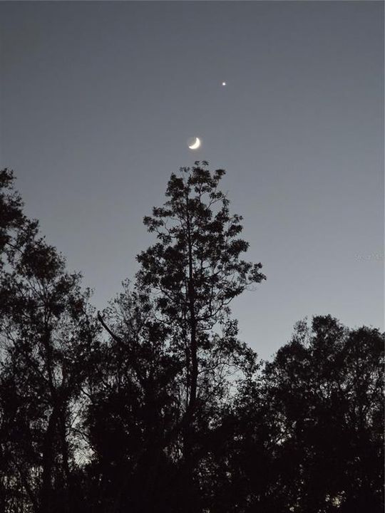 Под контрактом: $1,200 (2 спален, 1 ванн, 800 Квадратных фут)