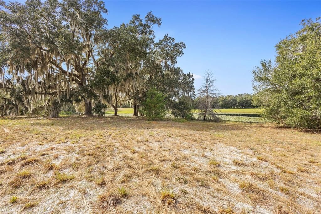 En Venta: $299,000 (2.50 acres)