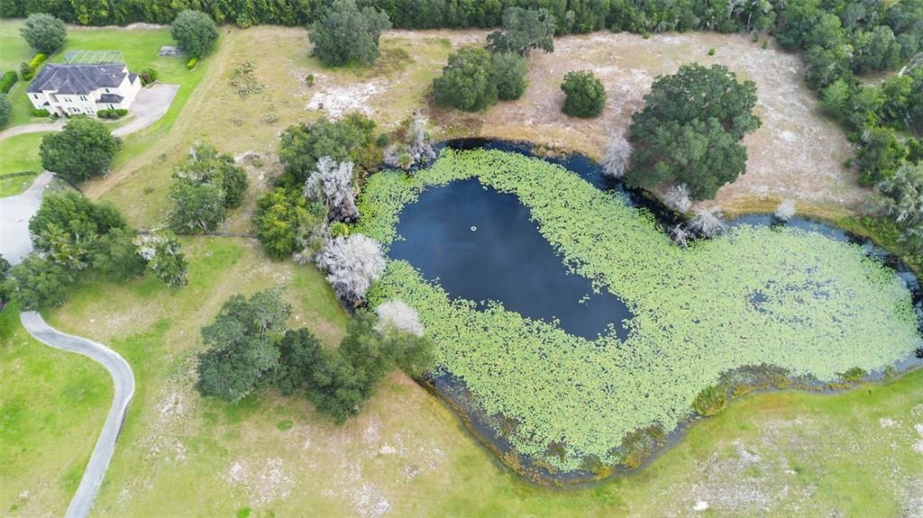 En Venta: $299,000 (2.50 acres)