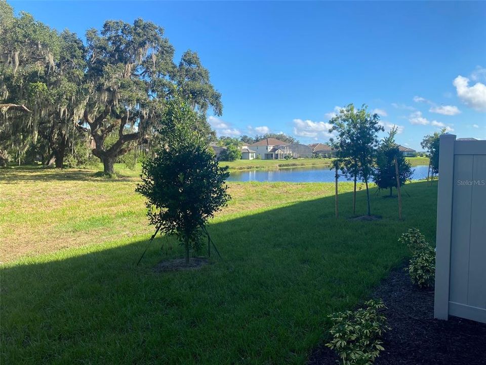 出租: $1,950 (3 贝兹, 2 浴室, 1365 平方英尺)