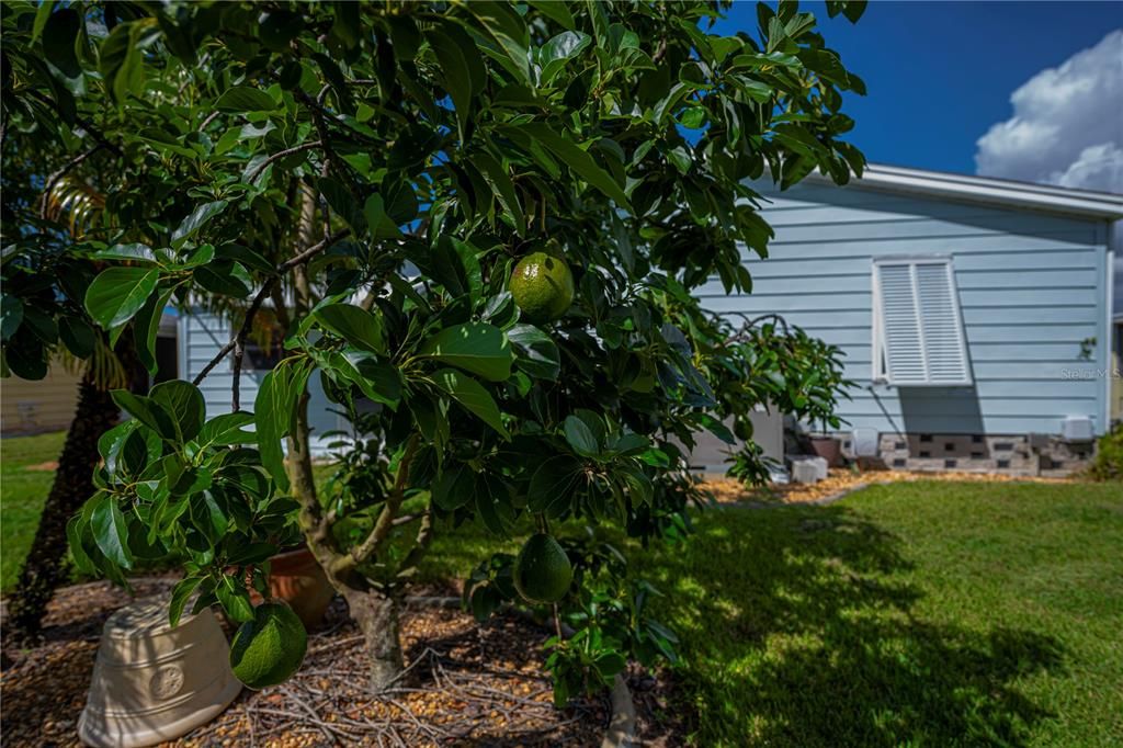 合同活跃: $195,000 (2 贝兹, 2 浴室, 1522 平方英尺)