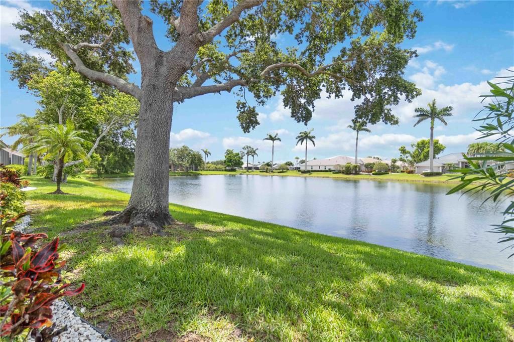 出租: $4,250 (4 贝兹, 3 浴室, 3022 平方英尺)