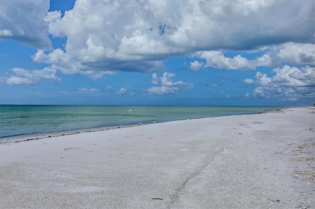 For Sale: $1,330,000 (1 beds, 2 baths, 900 Square Feet)