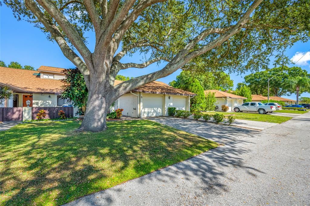 Active With Contract: $199,000 (2 beds, 2 baths, 1306 Square Feet)