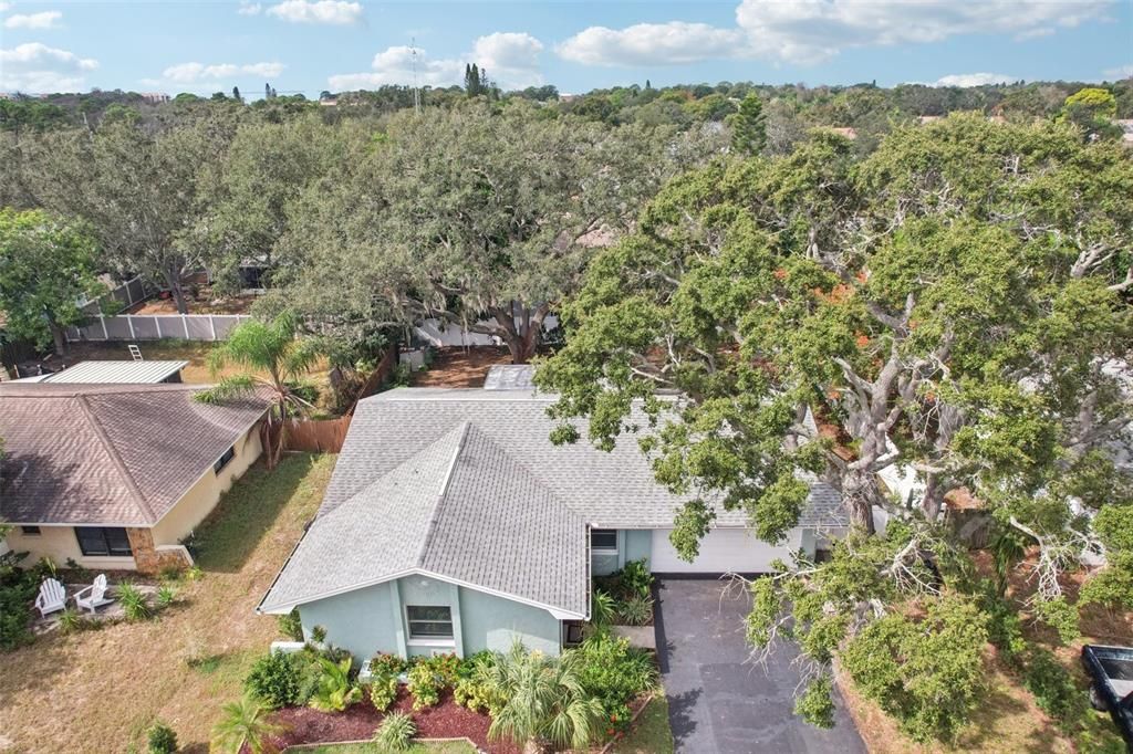 For Sale: $385,000 (3 beds, 2 baths, 1428 Square Feet)