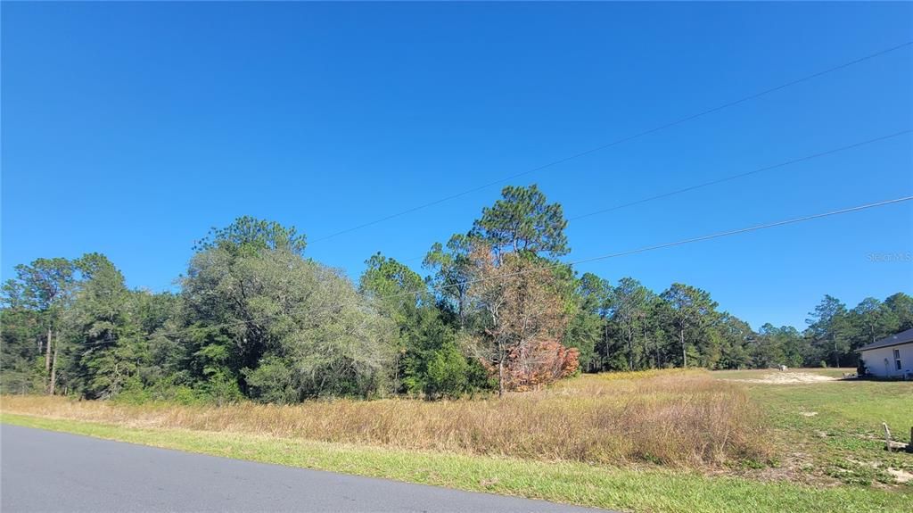 На продажу: $31,875 (0.99 acres)