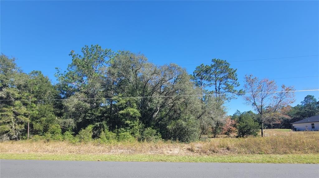 На продажу: $31,875 (0.99 acres)