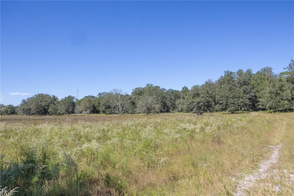 待售: $2,999,999 (320.08 acres)