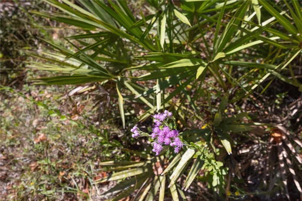 待售: $2,999,999 (320.08 acres)