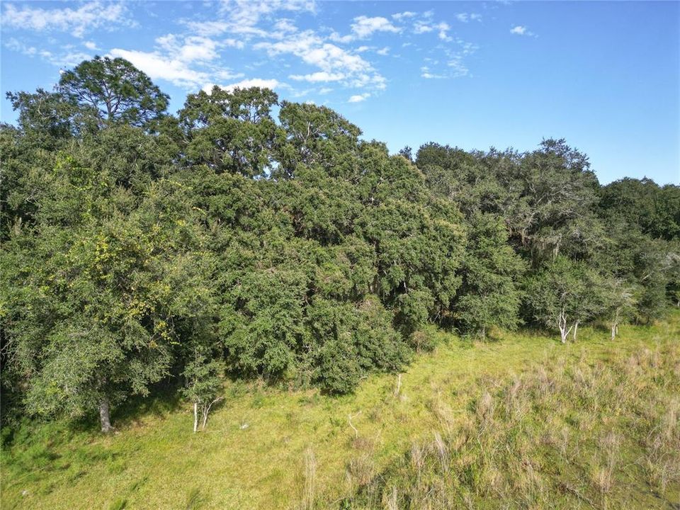 待售: $2,999,999 (320.08 acres)