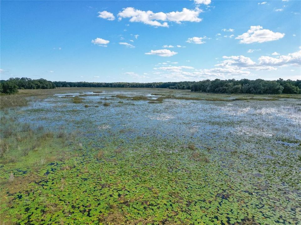 待售: $2,999,999 (320.08 acres)