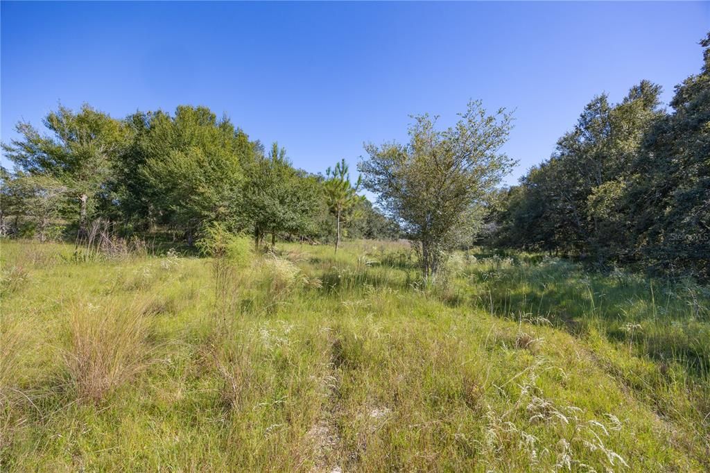 待售: $2,999,999 (320.08 acres)