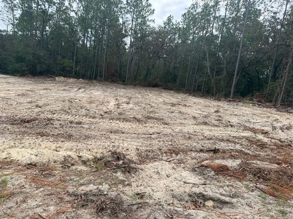 For Sale: $32,000 (0.25 acres)