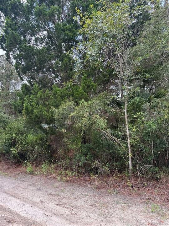 待售: $13,999 (0.33 acres)