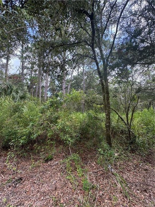 待售: $13,999 (0.33 acres)