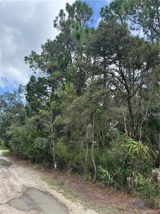 待售: $13,999 (0.33 acres)