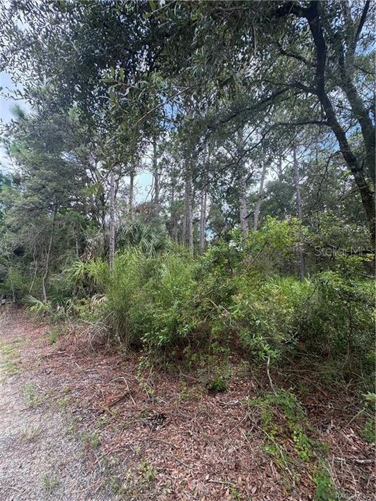 待售: $13,999 (0.33 acres)