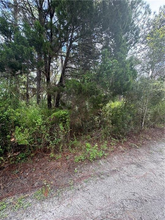 待售: $13,999 (0.33 acres)