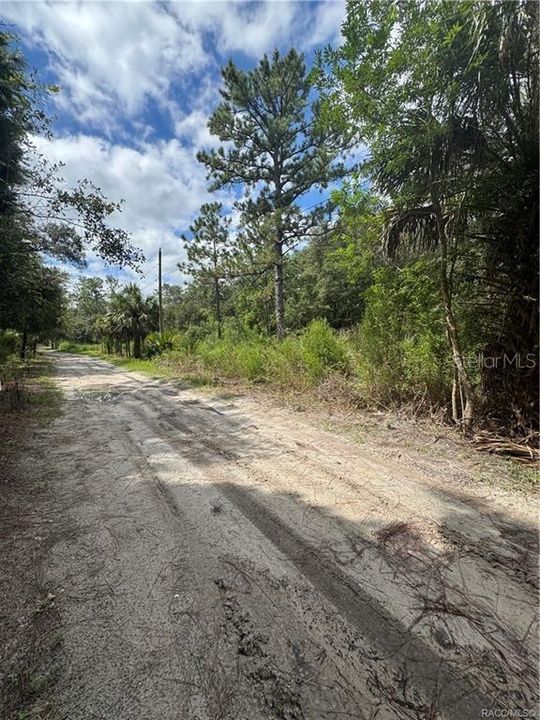 待售: $13,999 (0.33 acres)