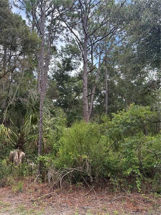 待售: $13,999 (0.33 acres)