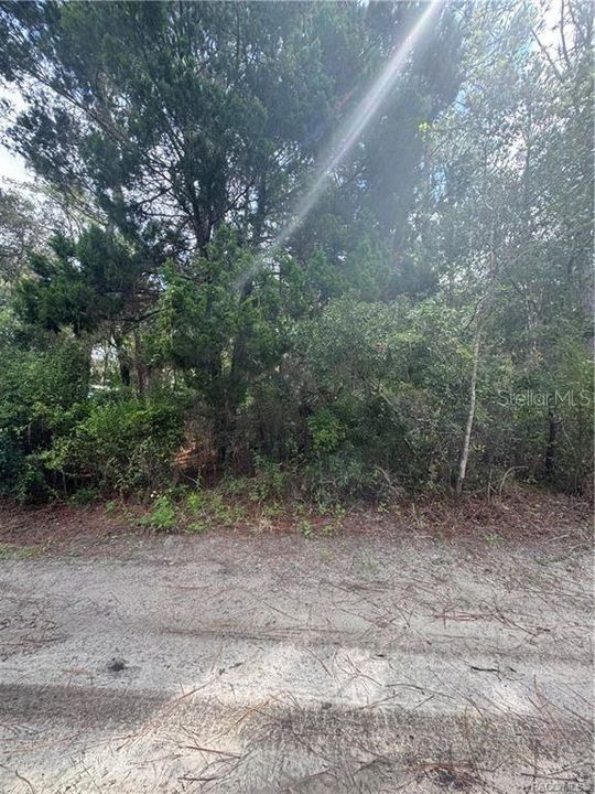 待售: $13,999 (0.33 acres)