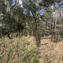 For Sale: $70,000 (1.67 acres)