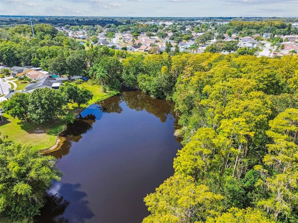 Под контрактом: $320,000 (2 спален, 2 ванн, 1358 Квадратных фут)