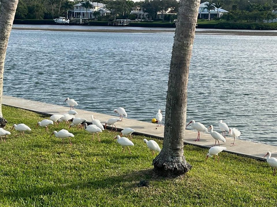 For Sale: $3,379,000 (5 beds, 3 baths, 3700 Square Feet)