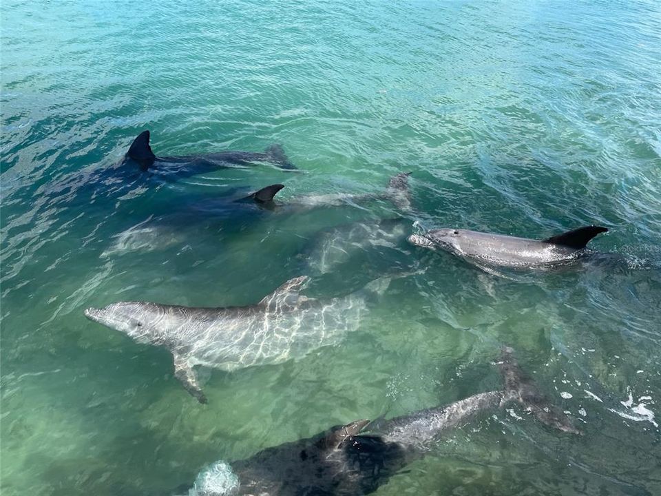 For Sale: $3,379,000 (5 beds, 3 baths, 3700 Square Feet)