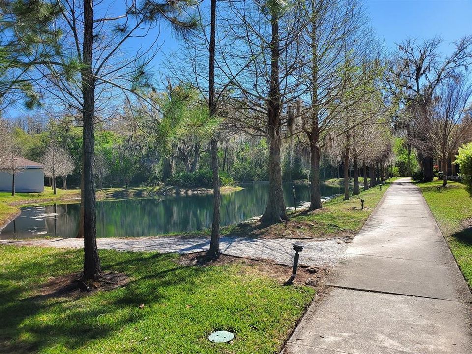 出租: $2,200 (3 贝兹, 2 浴室, 1550 平方英尺)