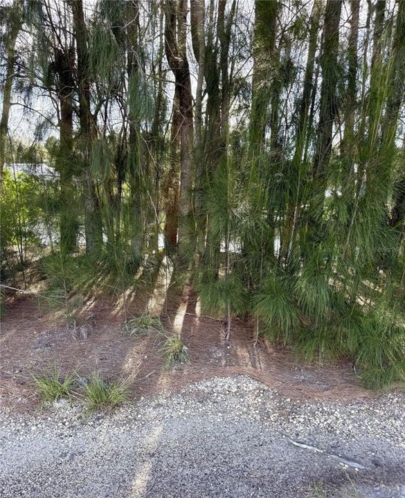 Recently Sold: $8,000 (0.01 acres)