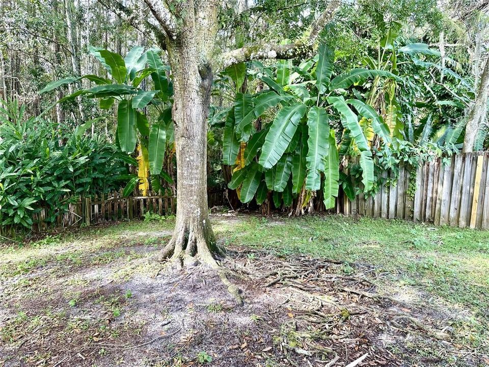 合同活跃: $340,000 (3 贝兹, 2 浴室, 1366 平方英尺)