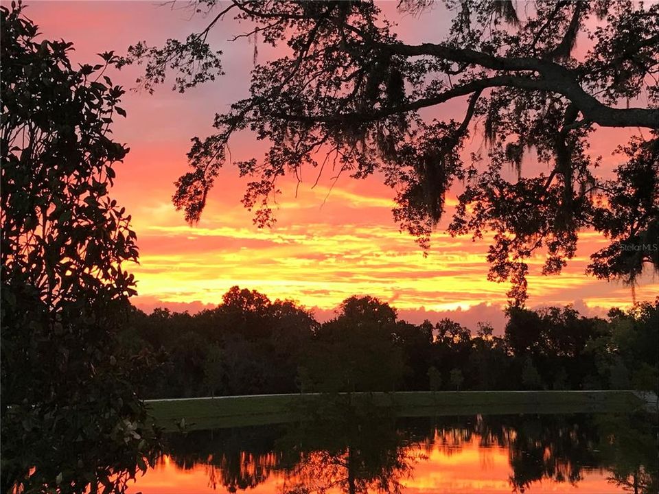 待售: $660,000 (4 贝兹, 2 浴室, 1916 平方英尺)