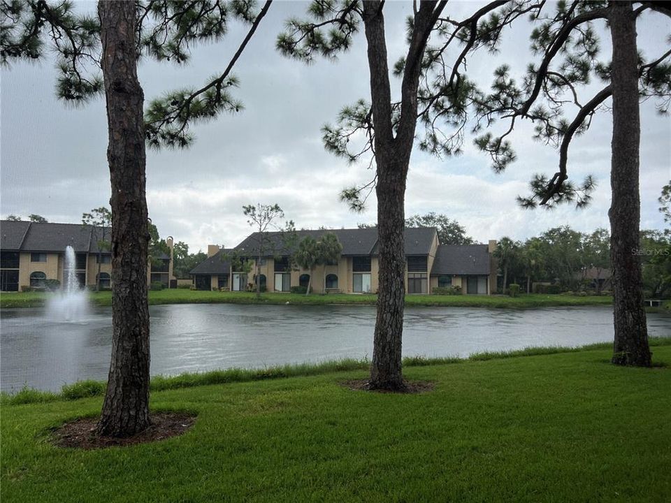 待售: $342,000 (2 贝兹, 2 浴室, 1232 平方英尺)