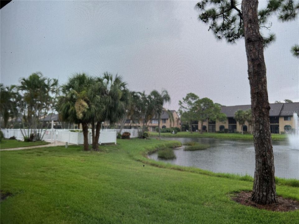 待售: $342,000 (2 贝兹, 2 浴室, 1232 平方英尺)