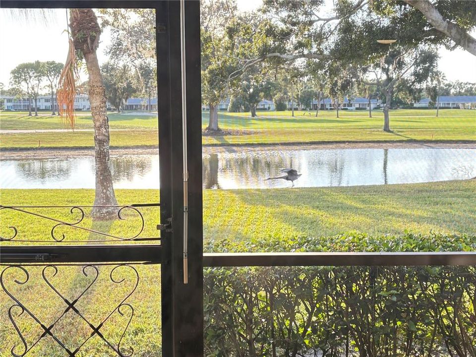 For Rent: $2,050 (3 beds, 2 baths, 1444 Square Feet)