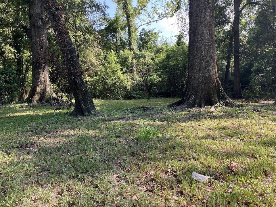 For Rent: $950 (3 beds, 2 baths, 1258 Square Feet)