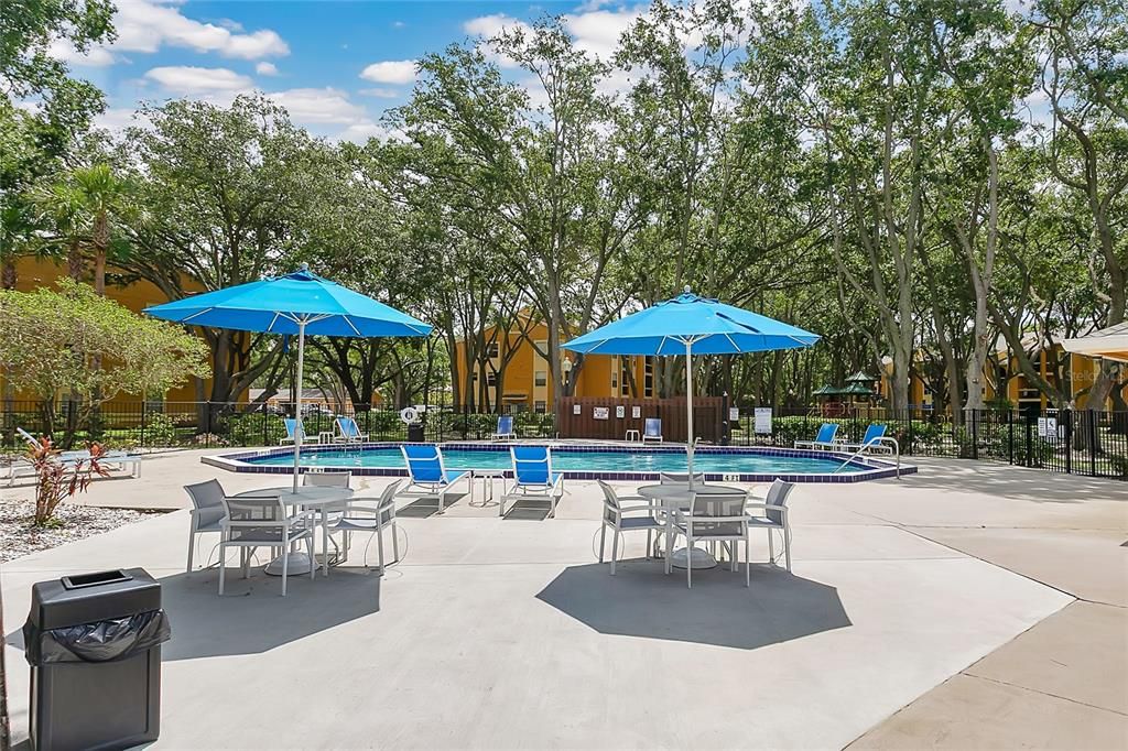 出租: $1,400 (1 贝兹, 1 浴室, 665 平方英尺)