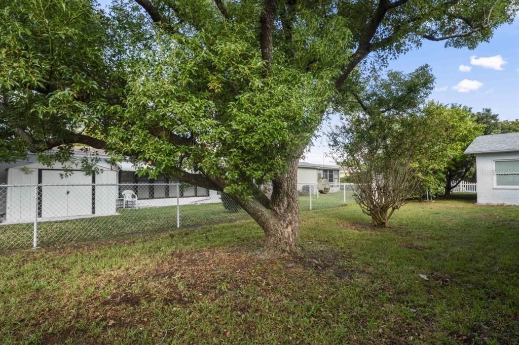 合同活跃: $259,000 (2 贝兹, 2 浴室, 1598 平方英尺)