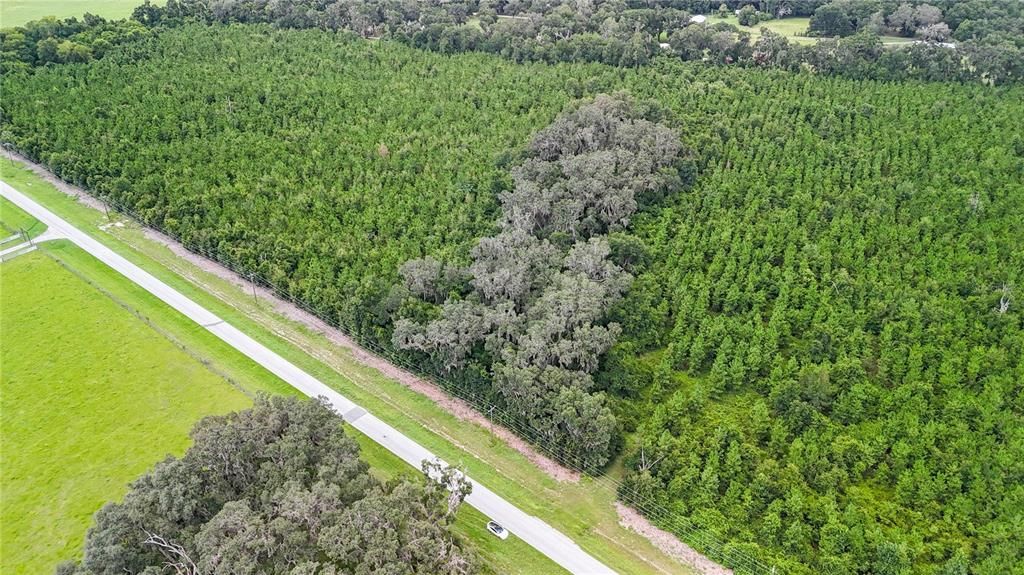 На продажу: $740,000 (52.82 acres)