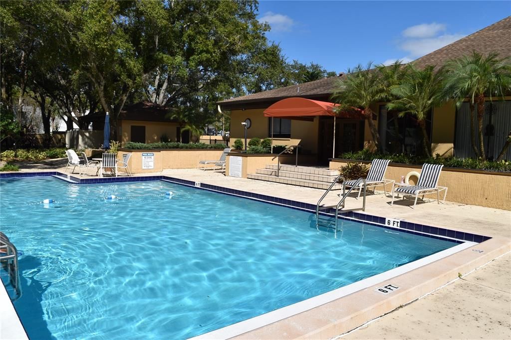 待售: $185,000 (1 贝兹, 1 浴室, 920 平方英尺)